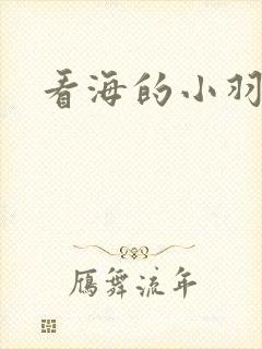 看海的小羽