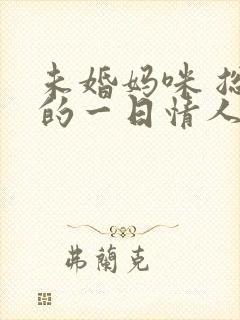 未婚妈咪 总裁的一日情人