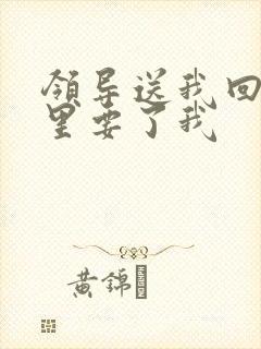 领导送我回家车里要了我