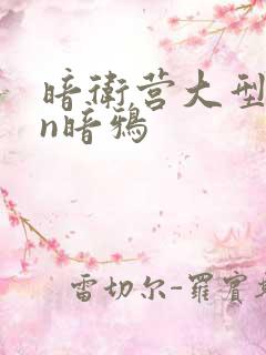 暗卫营大型hpn暗鸦