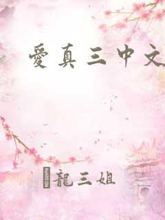 爱真三中文网