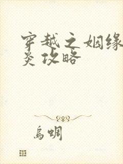 穿越之姻缘劫萧炎攻略