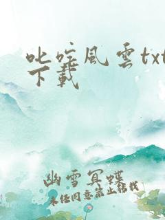 叱咤风云txt下载