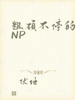 粗硕不停的进出NP