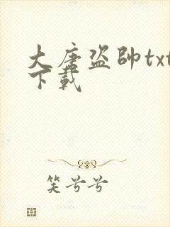 大唐盗帅txt下载