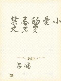 禁忌的爱小说全文免费