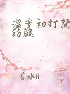 温实初打开眉庄的腿