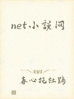 net小说网