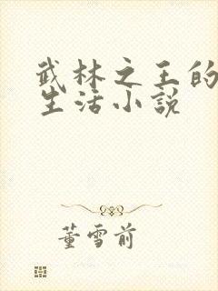 武林之王的退隐生活小说