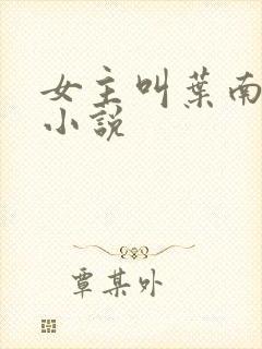 女主叫叶南初的小说