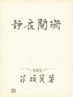 静夜阑珊