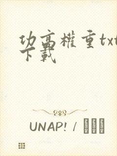 功高权重txt下载