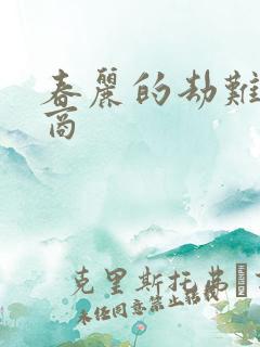 春丽的劫难军火商