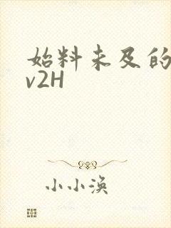 始料未及的软1v2H