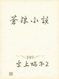 苍狼小说