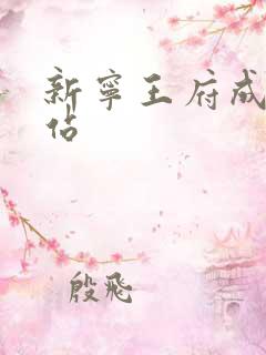 新宁王府成人网站