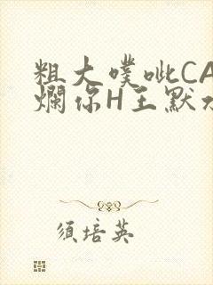 粗大噗呲CAO烂你H王默水王子