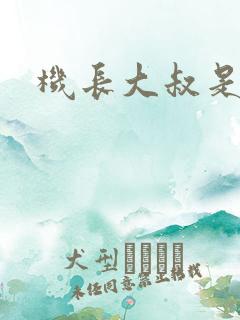 机长大叔是饿狼