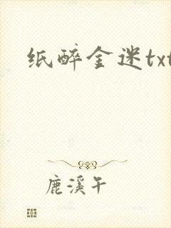 纸醉金迷txt