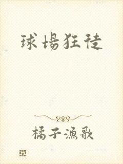 球场狂徒