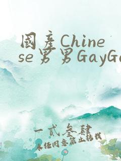 国产Chinese男男GayGayAPP