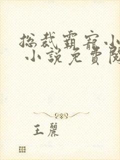 总裁霸宠小娇妻 小说免费阅读