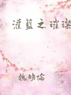 灌篮之璀璨生涯