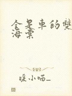 全是车的双男主海棠