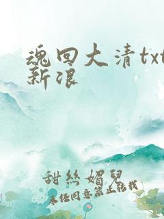 魂回大清txt新浪