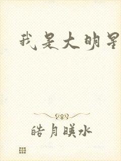 我是大明星周天