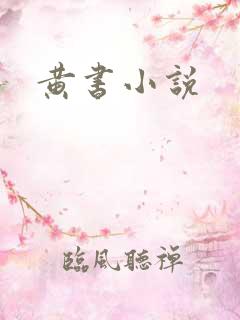 黄书小说