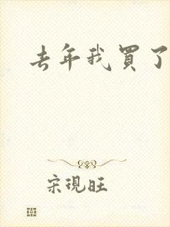 去年我买了个表