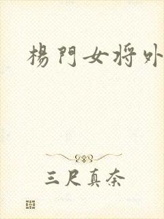 杨门女将外传