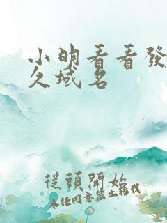 小明看看发布永久域名