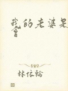 我的老婆是黑社会