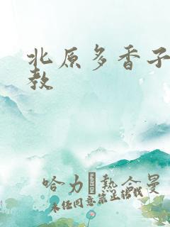 北原多香子 家教