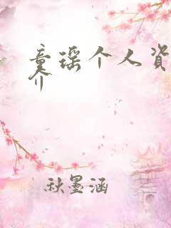 童瑶个人资料简介