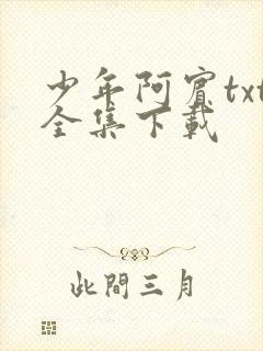 少年阿宾txt全集下载