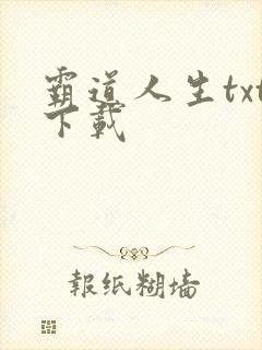 霸道人生txt下载