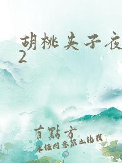 胡桃夹子夜未眠2