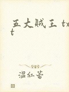 五大贼王 txt