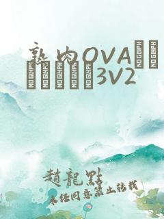 熟肉OVAちゃんはしたい3V2