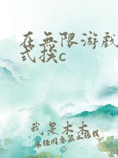 在无限游戏里花式挨c