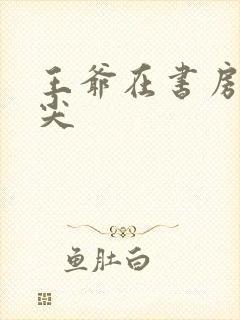 王爷在书房含乳尖