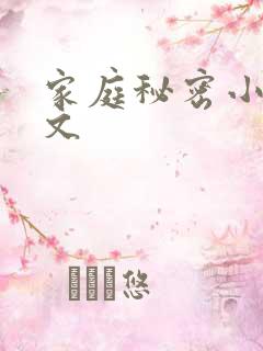 家庭秘密小说全文