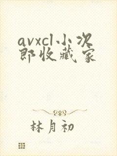 avxcl小次郎收藏家