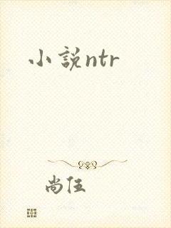小说ntr