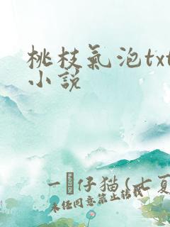 桃枝气泡txt小说