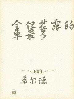 金银花露的哪个车最多