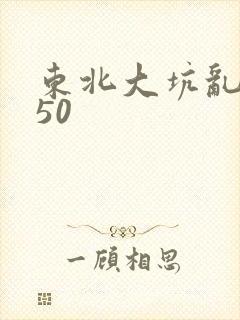 东北大坑乱1—50
